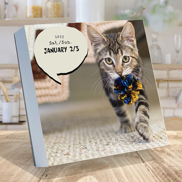 2027 Cat A Day Daily Desktop Calendar - 0