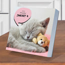 2027 Cat A Day Daily Desktop Calendar-3