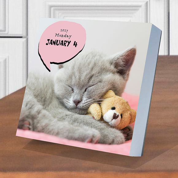 2027 Cat A Day Daily Desktop Calendar