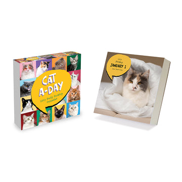 2027 Cat A Day Daily Desktop Calendar