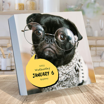2027 Dog A Day Daily Desktop Calendar - 0
