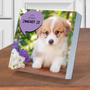 2027 Dog A Day Daily Desktop Calendar-3