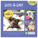2027 Dog A Day Daily Desktop Calendar-6
