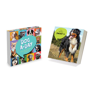 2027 Dog A Day Daily Desktop Calendar