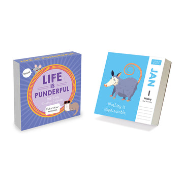2027 Puns of Fun Daily Desktop Calendar