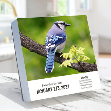 2027 Birds: Backyard & Beyond Daily Desktop Calendar - 0