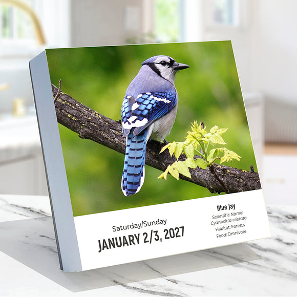 2027 Birds: Backyard & Beyond Daily Desktop Calendar