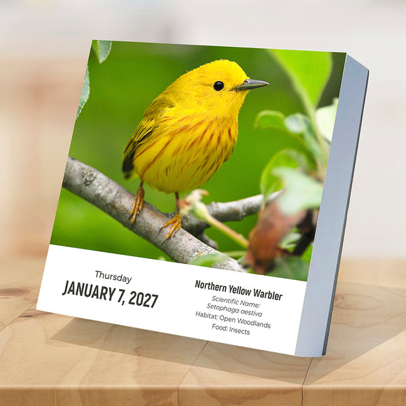 2027 Birds: Backyard & Beyond Daily Desktop Calendar
