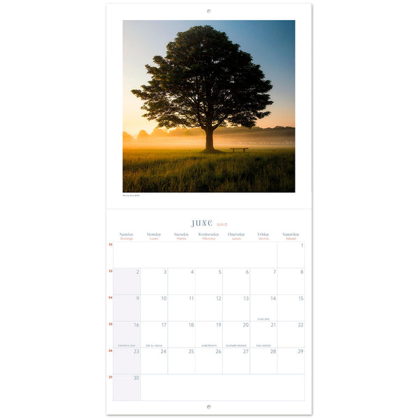 Bilingual 2024 Zen Nature Wall Calendar