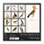 Bilingual 2024 Vintage Birds Wall Calendar