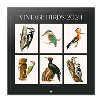Bilingual 2024 Vintage Birds Wall Calendar
