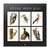 Bilingual 2024 Vintage Birds Wall Calendar