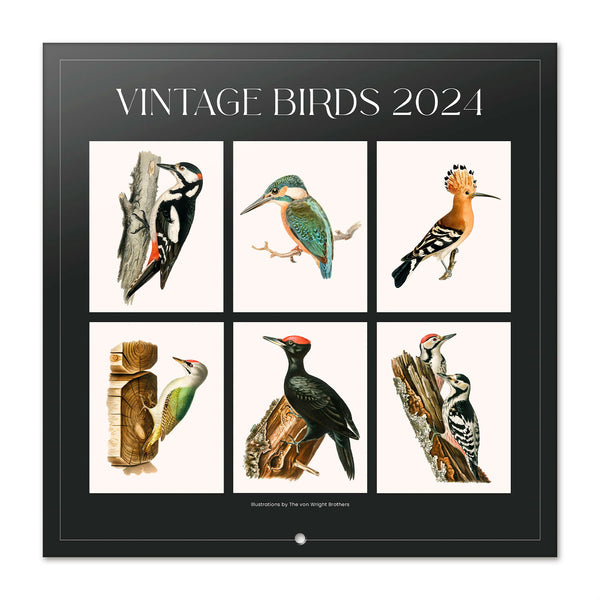 Bilingual 2024 Vintage Birds Wall Calendar