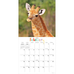 2024 Baby Animals Wall Calendar