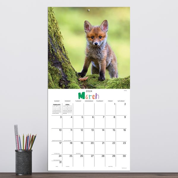 2024 Baby Animals Wall Calendar