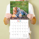 2024 Baby Animals Wall Calendar