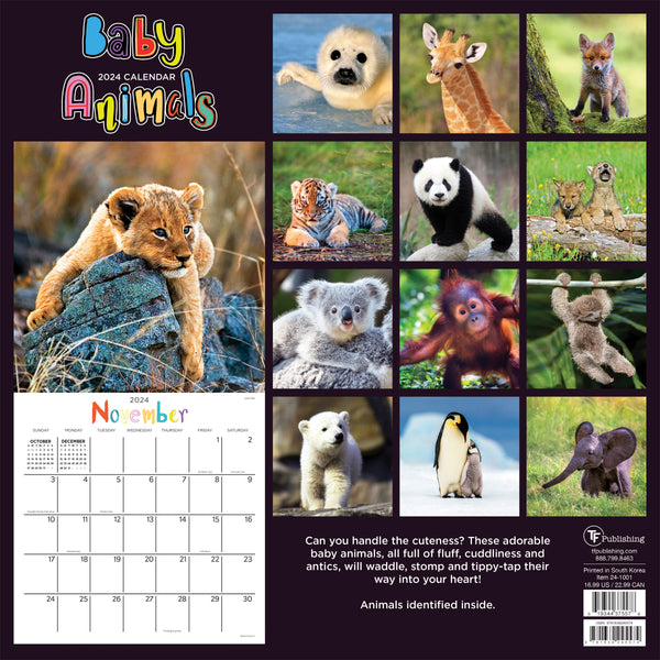 2024 Baby Animals Wall Calendar