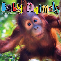 2024 Baby Animals Wall Calendar