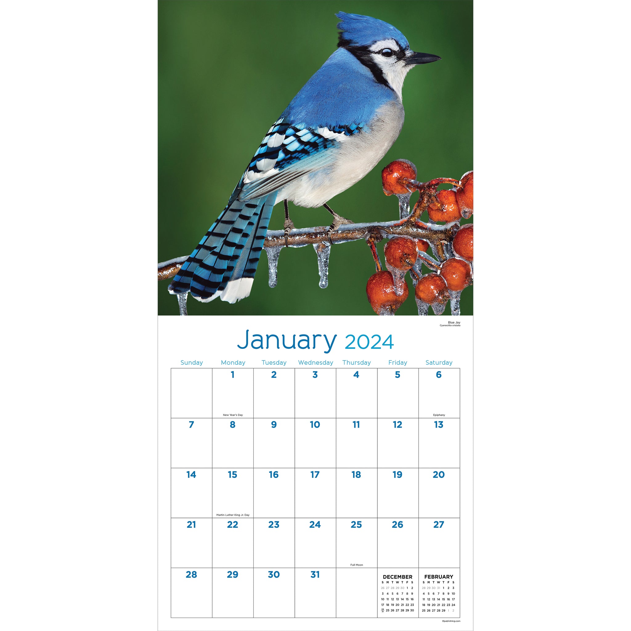 2024 Backyard Birds Wall Calendar TF Publishing Calendars