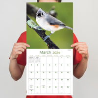 2024 Backyard Birds Wall Calendar