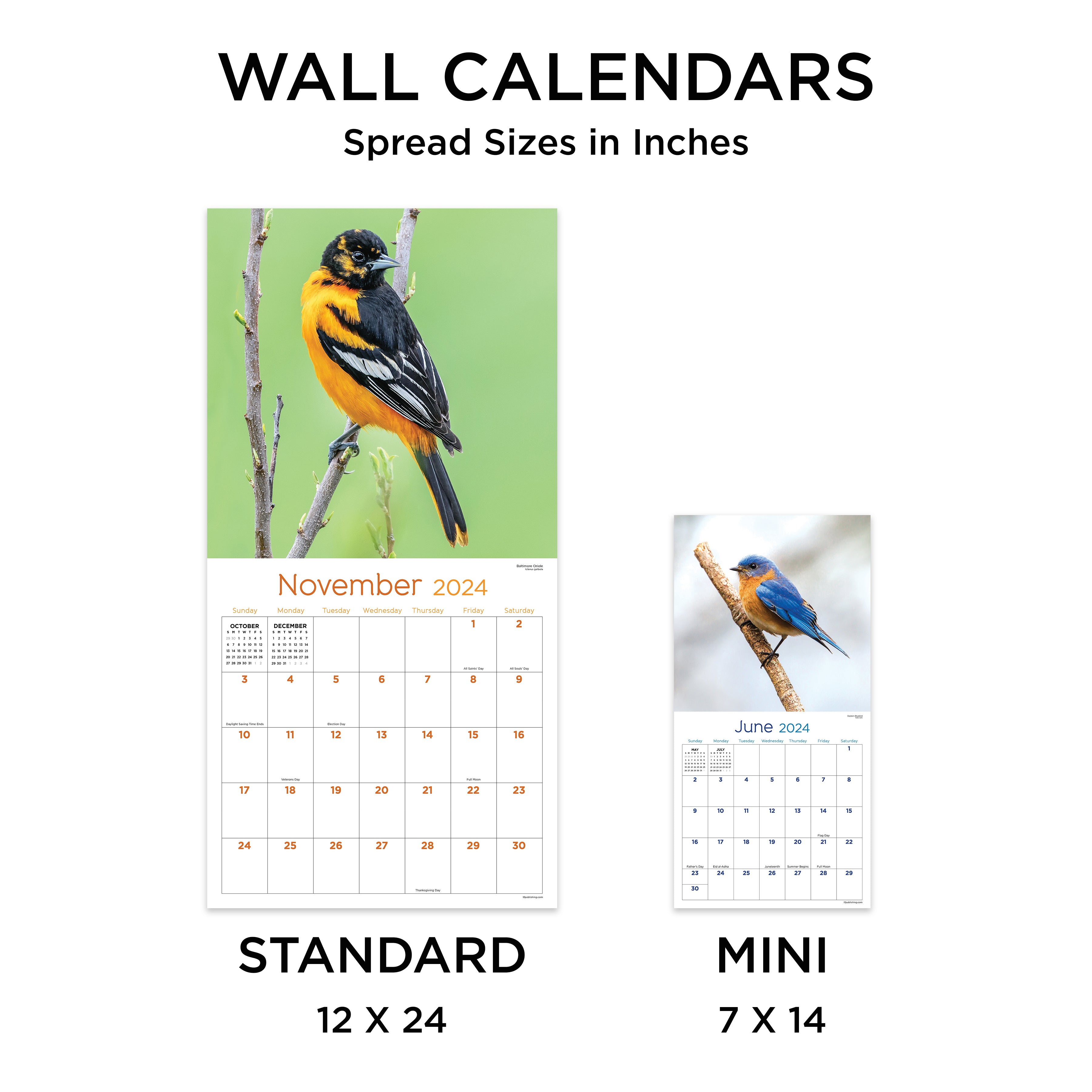 2024 Backyard Birds Wall Calendar