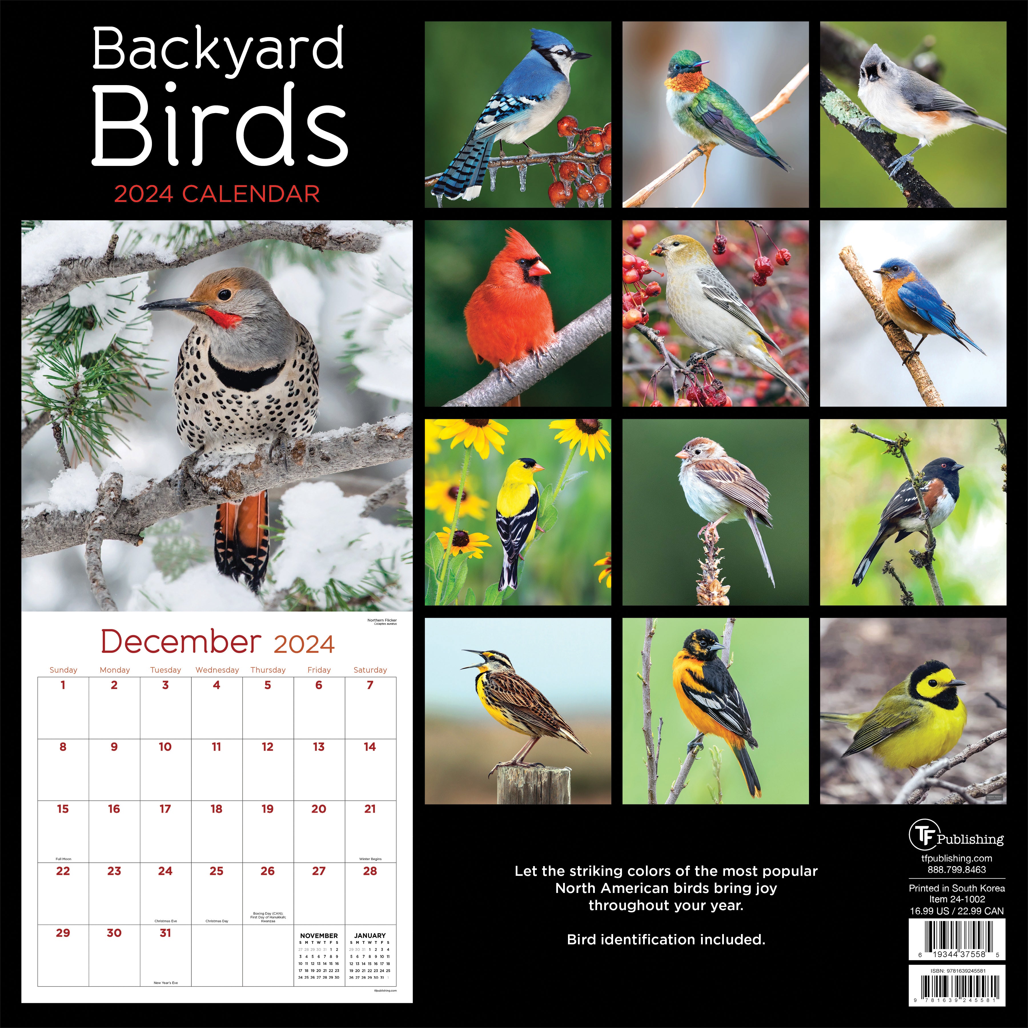 2024 Backyard Birds Wall Calendar TF Publishing Calendars + Planners Journals + Stationery