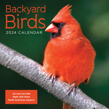 2024 Backyard Birds Wall Calendar