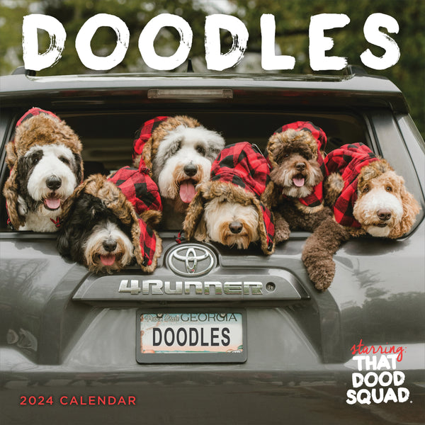 2024 Doodles, Starring: That Dood Squad Wall Calendar