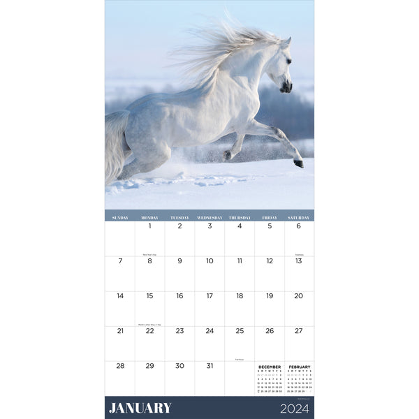 2024 Horses Wall Calendar
