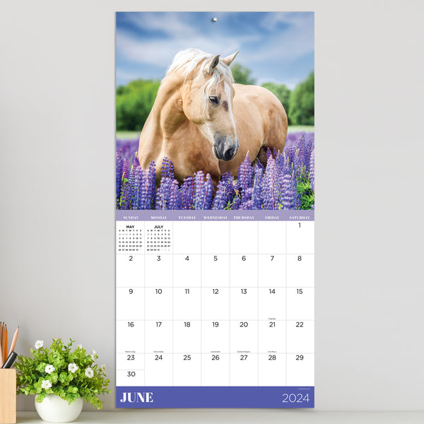 2024 Horses Wall Calendar