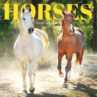 2024 Horses Wall Calendar