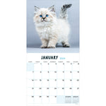 2024 Kittens Wall Calendar