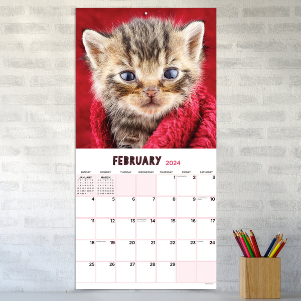 2024 Kittens Wall Calendar