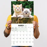 2024 Kittens Wall Calendar