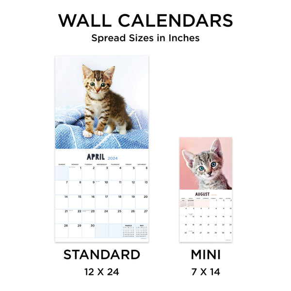 2024 Calendar Lazy Kitty Calendar 2024, Lazy Kitty Wall Calendar, Fun Kitty  Gift January 2024 From December 11x8.5 Inch