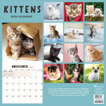 2024 Kittens Wall Calendar