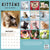 2024 Kittens Wall Calendar