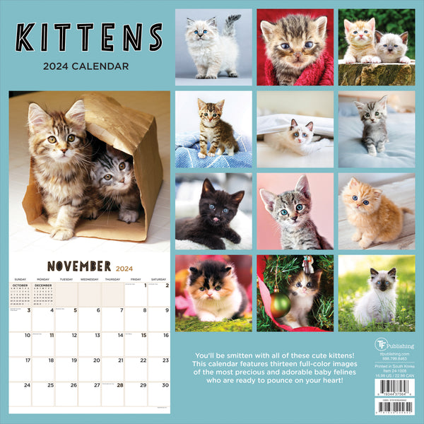 2024 Kittens Wall Calendar
