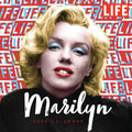 2024 Marilyn Monroe Wall Calendar