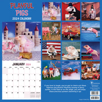 2024 Playful Pigs Wall Calendar