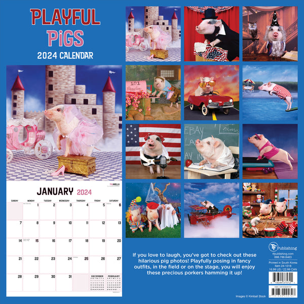 2024 Playful Pigs Wall Calendar
