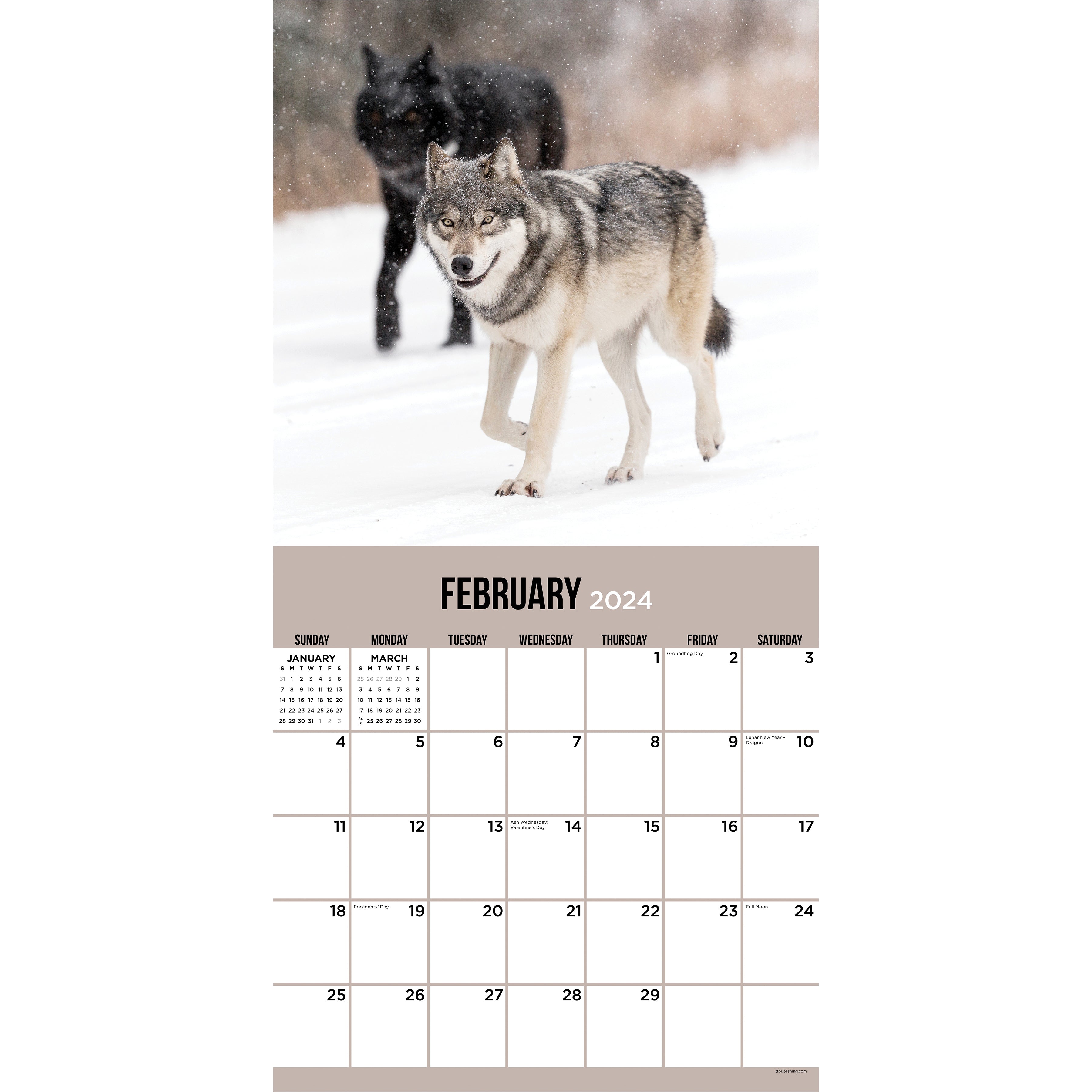 2024 Wolves Wall Calendar-5