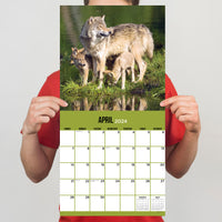 2024 Wolves Wall Calendar