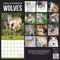 2024 Wolves Wall Calendar
