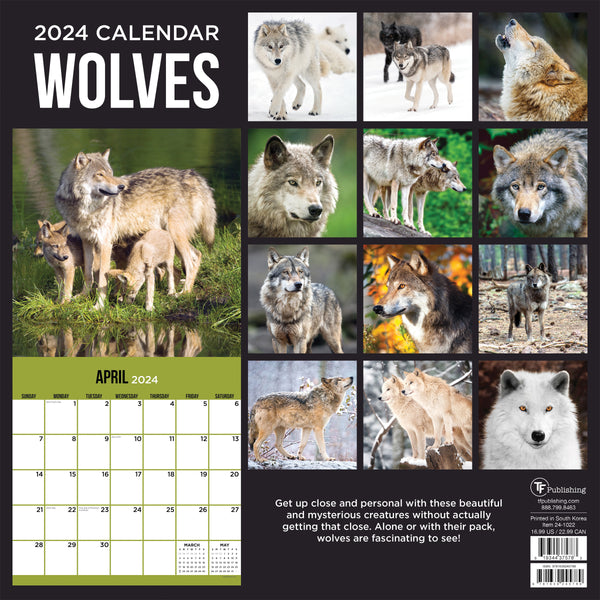 2024 Wolves Wall Calendar