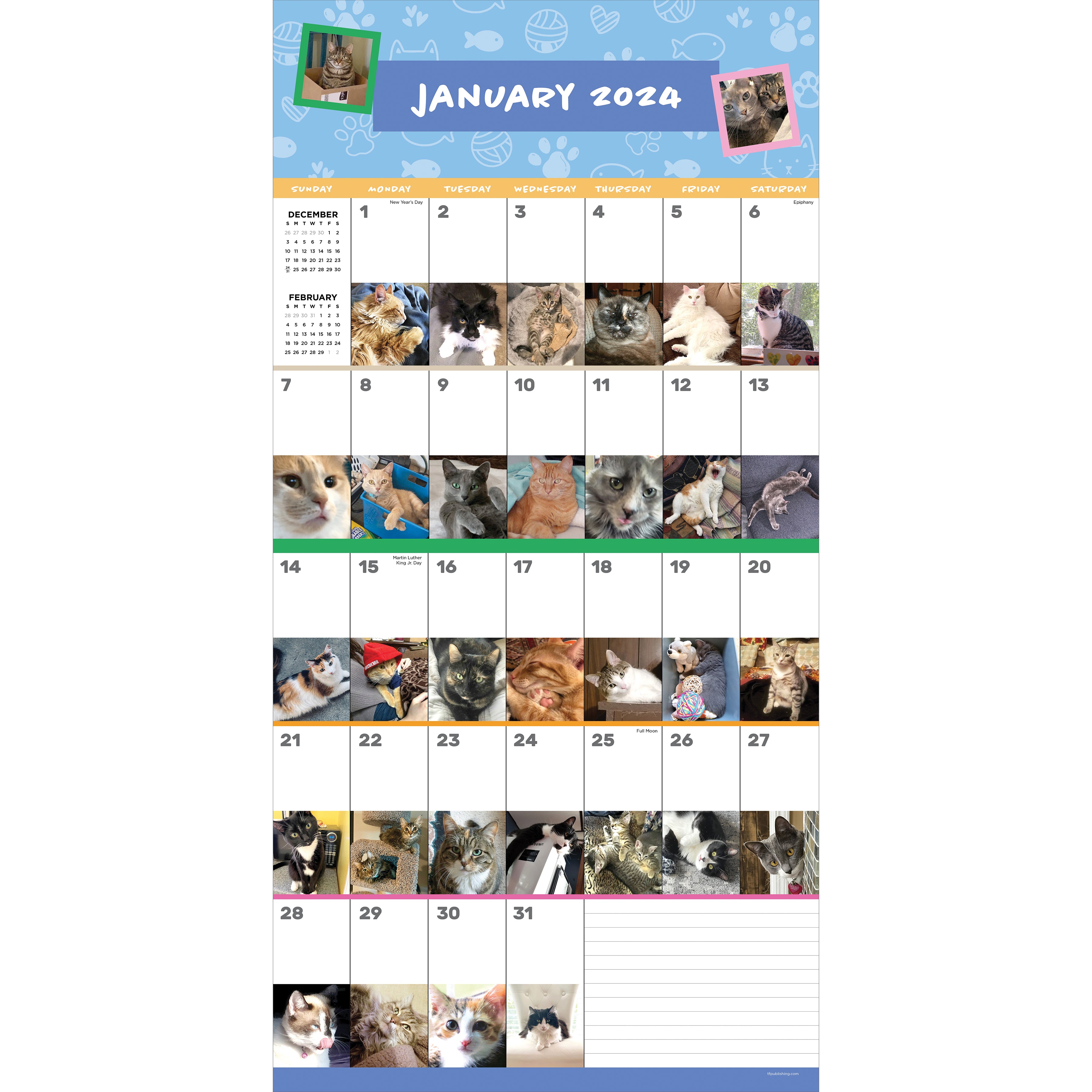 2024 Cat-A-Day Wall Calendar-5