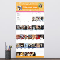 2024 Cat-A-Day Wall Calendar