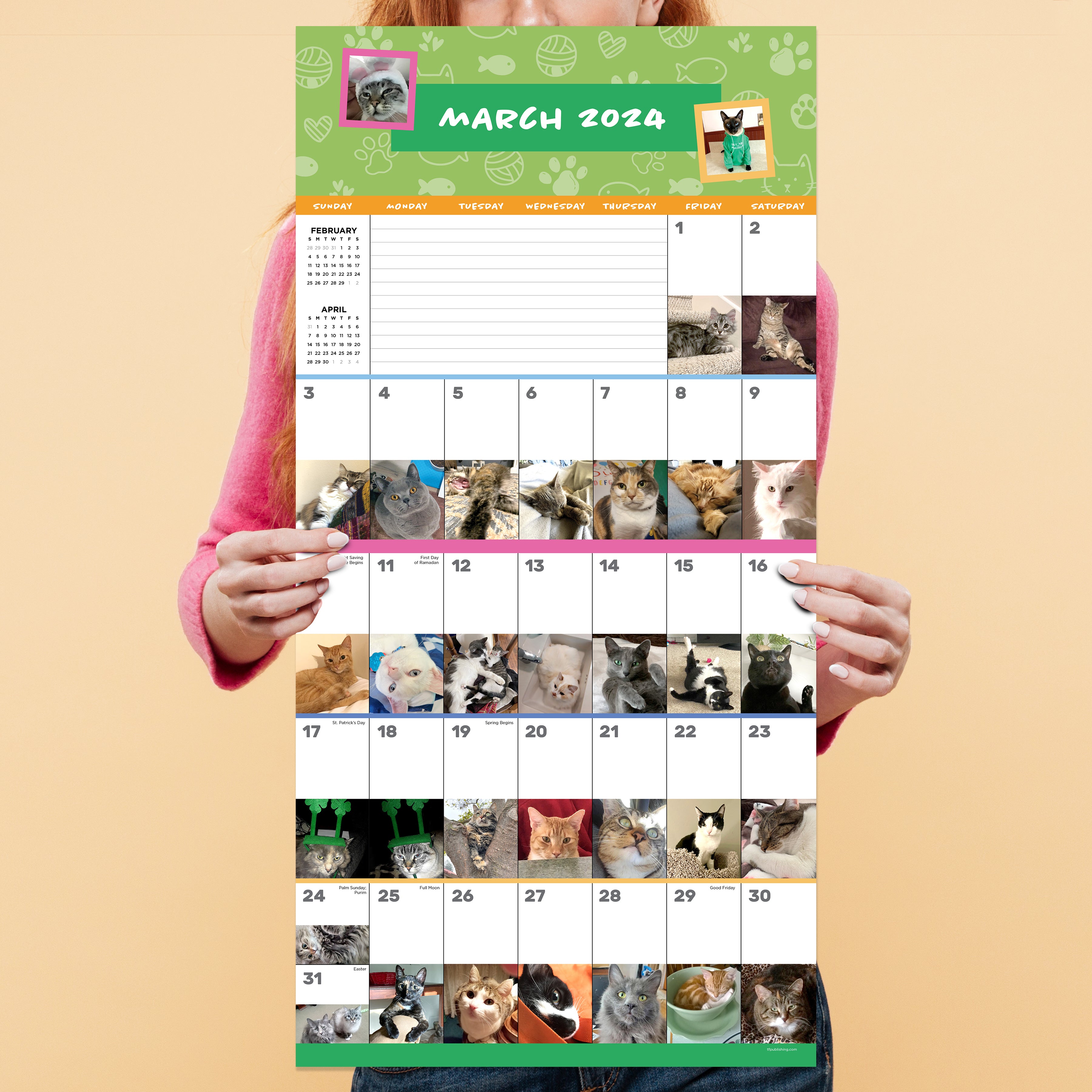 2024 Cat-A-Day Wall Calendar-2