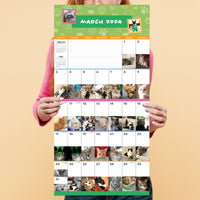 2024 Cat-A-Day Wall Calendar
