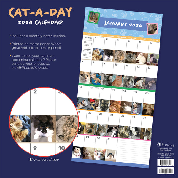2024 Cat-A-Day Wall Calendar
